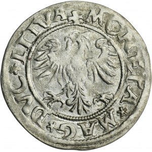 Zikmund II August, Vilnius 1545 půlpenny - VELMI ZRADKÉ, L/LTIVA