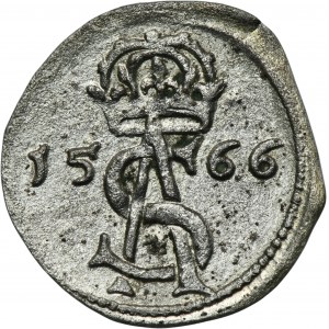 Sigismund II August, 2 Denarius Vilnius 1566