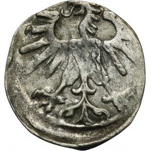 Sigismund II August, Denarius Vilnius 1560