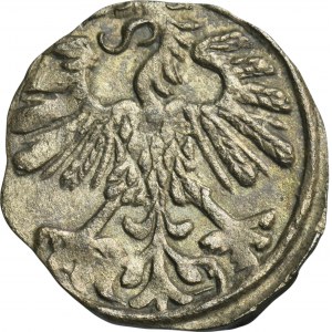 Sigismund II August, Denarius Vilnius 1559