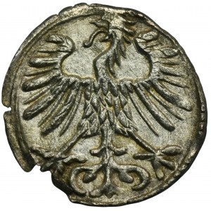 Sigismund II August, Denarius Vilnius 1557