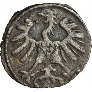 Sigismund II August, Denarius Vilnius 1555