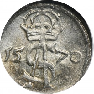 Zikmund II Augustus, Dvě stě Vilnius 1570 - NGC MS64