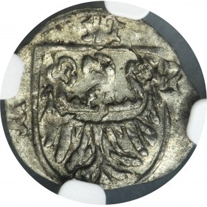 Silesia, Duchy of Oels, Konrad V or Konrad VII, Heller Oels - NGC AU58