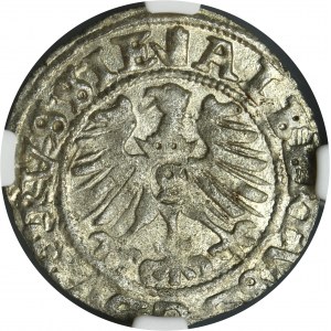Duchy of Prussia, Albrecht Hohenzollern, Schilling Königsberg 1557 - NGC MS63