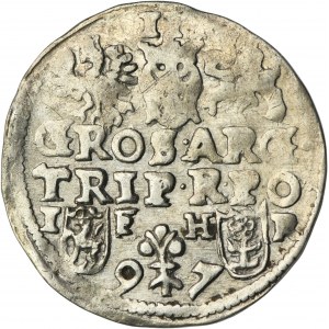 Žigmund III Vaza, Trojak Poznaň 1597 - dátum oddelený kvetom