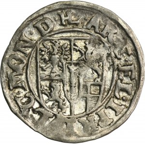 Kniežacie Prusko, Ján Zikmund Hohenzollern, Drezdenko Grosz 1613 HL