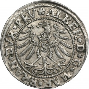 Duchy of Prussia, Albert Hohenzollern, Groschen Königsberg 1531 - PRV - UNLISTED