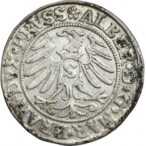 Duchy of Prussia, Albert Hohenzollern, Groschen Königsberg 1531 - PRVSS