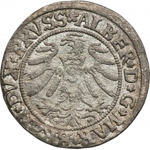 Duchy of Prussia, Albert Hohenzollern, Groschen Königsberg 1532 - PRVSS