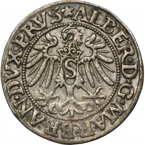 Knížecí Prusko, Albrecht Hohenzollern, Grosz Königsberg 1534 - PRVS