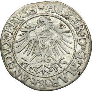 Duchy of Prussia, Albrecht Hohenzollern, Groschen Königsberg 1537 - PRVSS