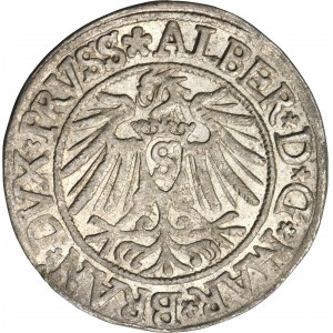 Duchy of Prussia, Albrecht Hohenzollern, Groschen Königsberg 1538 - PRVSS