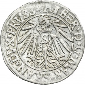 Duchy of Prussia, Albert Hohenzollern, Groschen Königsberg 1540 - PRVSS