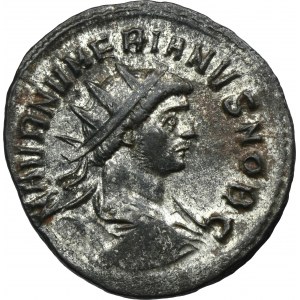 Roman Imperial, Numerian, Antoninianus - RARE, PXXI