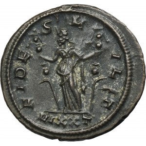 Roman Imperial, Probus, Antoninianus