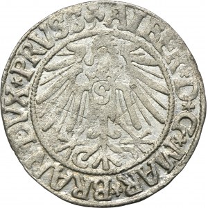 Duchy of Prussia, Albrecht Hohenzollern, Groschen Königsberg 1543 - PRVSS