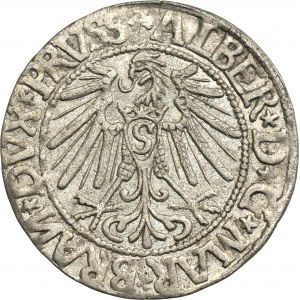 Kniežacie Prusko, Albrecht Hohenzollern, Grosz Königsberg 1544 - PRVSS