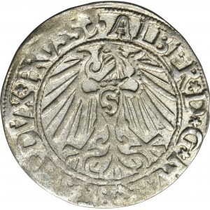 Knížecí Prusko, Albrecht Hohenzollern, Grosz Königsberg 1546 - PRVSS