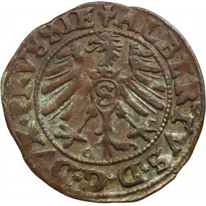 Ducal Prussia, Albrecht Hohenzollern, Schilling Königsberg 1550