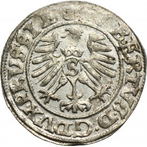 Ducal Prussia, Albrecht Hohenzollern, Schilling Königsberg 1559
