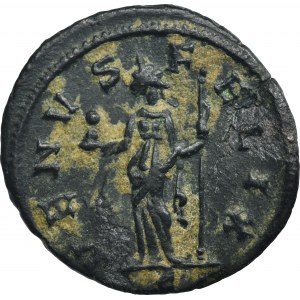 Roman Imperial, Severina, Billon Denarius - RARE