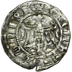 Kazimír III Veľký, Polovičný groš (štvrťgroš) Krakov bez dátumu