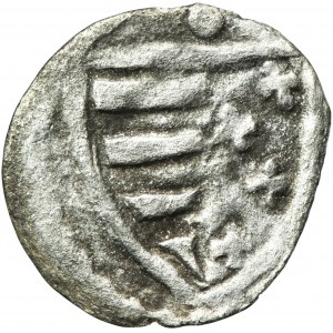 Louis I of Hungary, Denarius Krakau no date