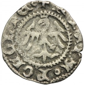 Ladislaus II Jagiellon, Ternarius Krakau undated