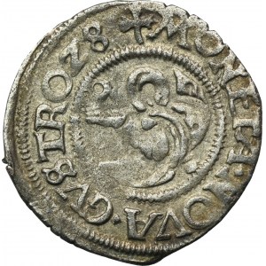 Germany, Mecklenburg-Güstrow, Albrecht VII, Dreiling Güstrow 1528 G