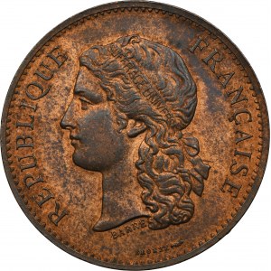 France, Medal on the occasion of the Universal Exhibition on the occasion of the centenary of the fall of the Bastille 1889
