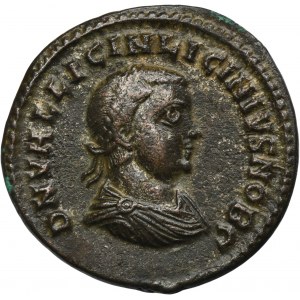 Roman Imperial, Licinius II, Follis