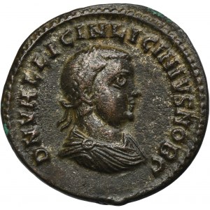 Roman Imperial, Licinius II, Follis