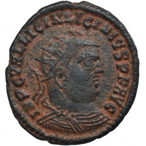 Rímska ríša, Licinius I, Follis