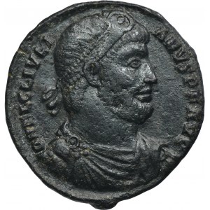 Roman Imperial, Julian II Apostate, Double Maiorina
