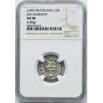 John I Albert, 1/2 Groschen Krakau undated - NGC AU58