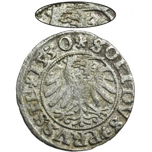 Sigismund I the Old, Schilling Thorn 1530 - VERY RARE