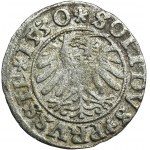 Sigismund I the Old, Schilling Thorn 1530 - VERY RARE
