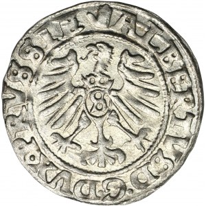 Knížecí Prusko, Albrecht Hohenzollern, Königsberg 1558