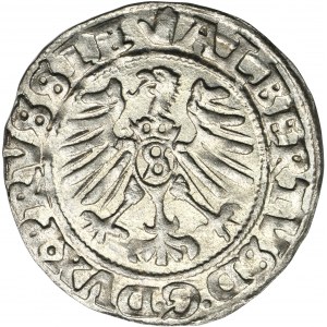 Kniežacie Prusko, Albrecht Hohenzollern, Königsberg 1558