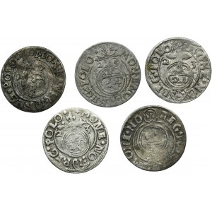 Set, Sigismund III Vasa, 3 Polker Bromberg (5 pcs.)