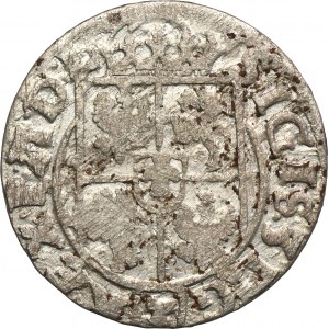 Sigismund III Vasa, 3 Polker Bromberg 1619