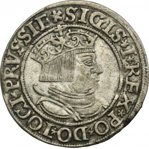 Sigismund I the Old, Groschen Thorn 1534 - PRVSSIE / PRVSSIE