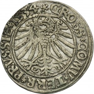 Sigismund I the Old, Groschen Thorn 1534 - PRVSSIE / PRVSSIE