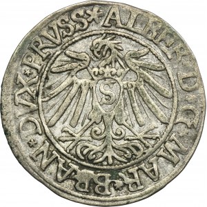 Kniežacie Prusko, Albrecht Hohenzollern, Grosz Königsberg 1538 - PRVSS