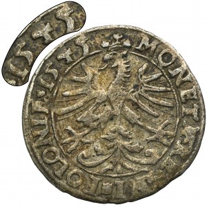 Sigismund I the Old, Groschen Krakau 1545 - VERY RARE