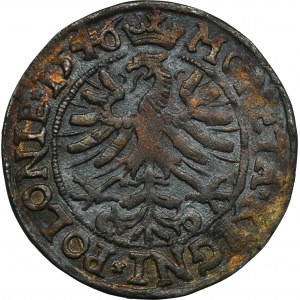 Zikmund I. Starý, Krakovský groš 1546 - MENTIONÁŘ FALEŠNÝ