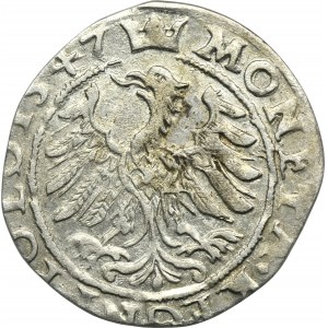 Zikmund I. Starý, Krakovský groš 1547 ST - RARE
