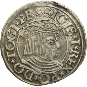 Sigismund I the Old, Groschen Danzig 1534 - PR