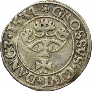 Žigmund I. Starý, Grosz Gdańsk 1534 - PR